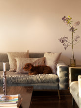 Afbeelding in Gallery-weergave laden, shopbambloo kussenhoezen Graphic maten 50/50 en 40/65